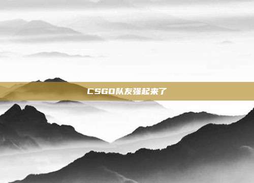 CSGO队友强起来了