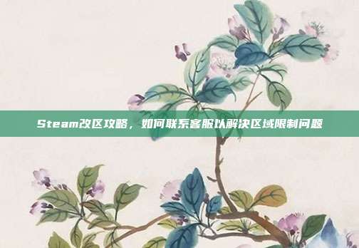 Steam改区攻略,如何联系客服以解决区域限制问题