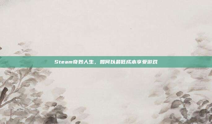 Steam奇妙人生,如何以最低成本享受游戏