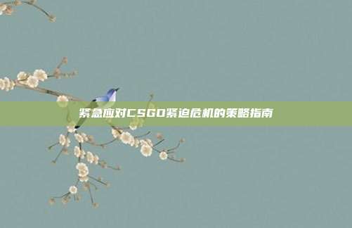 紧急应对CSGO紧迫危机的策略指南