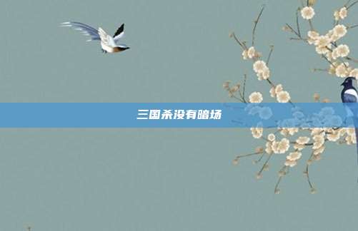 三国杀没有暗场