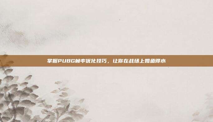 掌握PUBG帧率优化技巧,让你在战场上如鱼得水