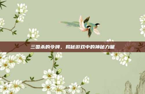 三国杀的令牌,揭秘游戏中的神秘力量