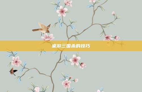 桌游三国杀的技巧