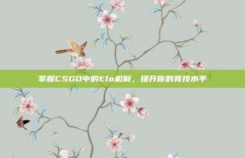 掌握CSGO中的Elo机制,提升你的竞技水平