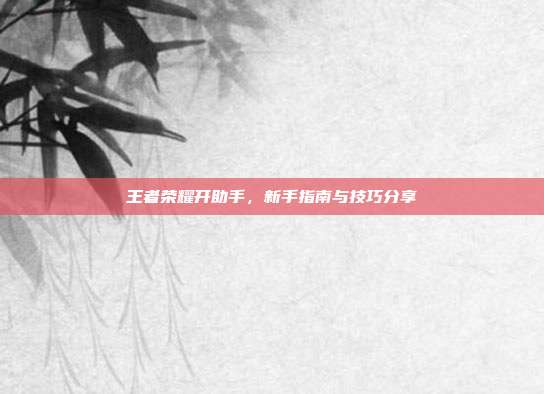 王者荣耀开助手,新手指南与技巧分享