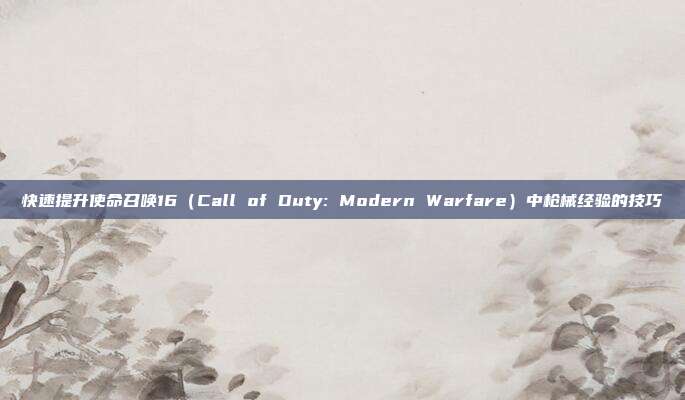 快速提升使命召唤16(Call of Duty: Modern Warfare)中枪械经验的技巧