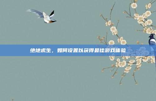 绝地求生,如何设置以获得最佳游戏体验