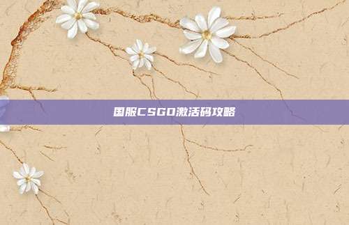 国服CSGO激活码攻略