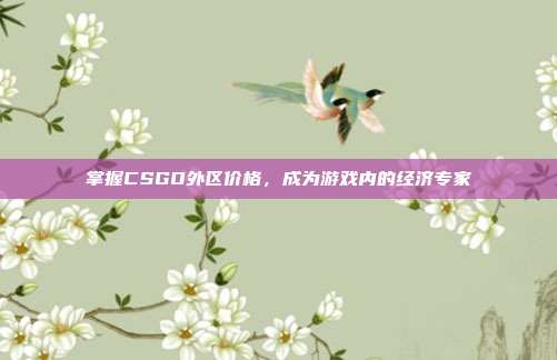 掌握CSGO外区价格，成为游戏内的经济专家