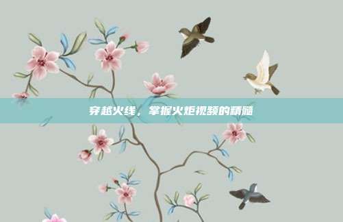穿越火线，掌握火炬视频的精髓