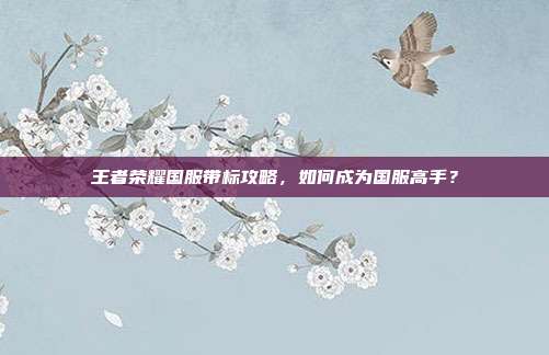 王者荣耀国服带标攻略,如何成为国服高手?