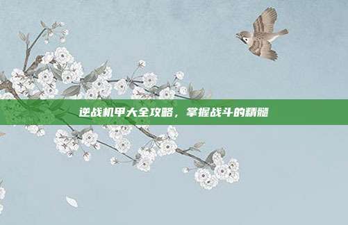 逆战机甲大全攻略,掌握战斗的精髓
