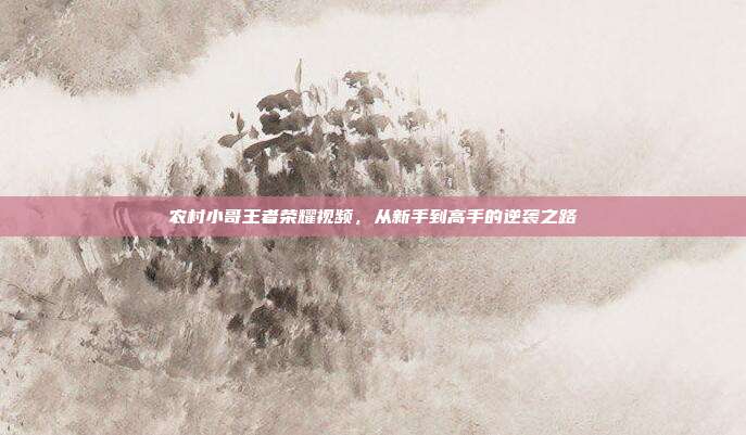 农村小哥王者荣耀视频,从新手到高手的逆袭之路