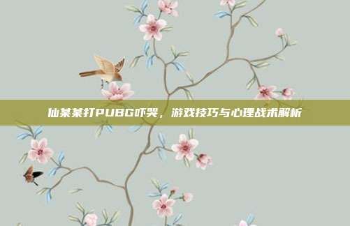 仙某某打PUBG吓哭,游戏技巧与心理战术解析