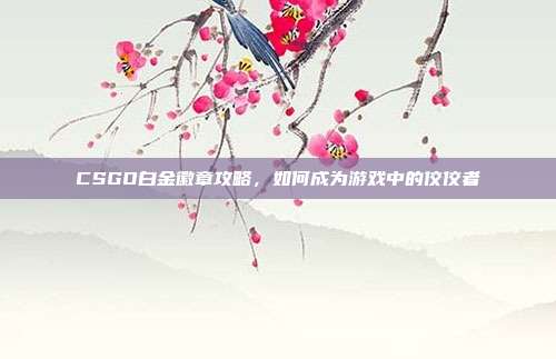 CSGO白金徽章攻略，如何成为游戏中的佼佼者