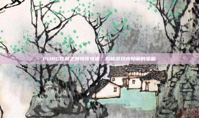 PUBG胜利之舞特殊快递,揭秘游戏内隐藏的宝藏