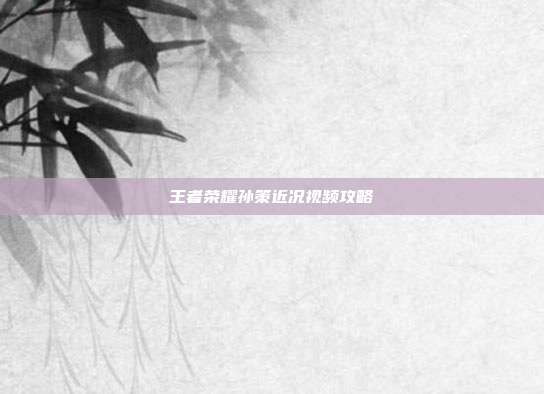 王者荣耀孙策近况视频攻略