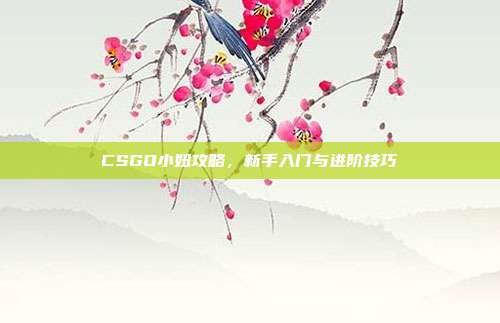 CSGO小妞攻略,新手入门与进阶技巧