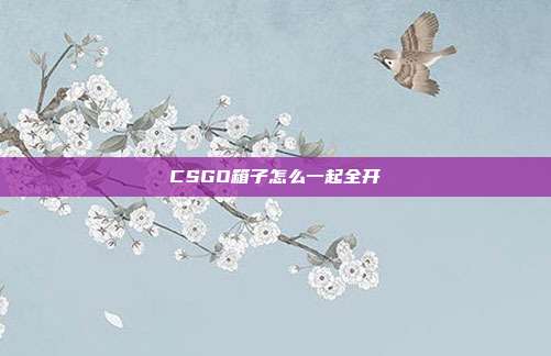 CSGO箱子怎么一起全开