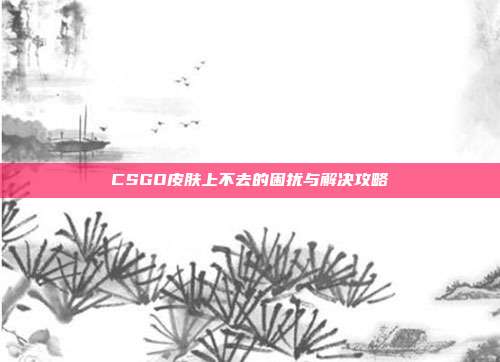 CSGO皮肤上不去的困扰与解决攻略