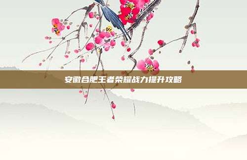 安徽合肥王者荣耀战力提升攻略