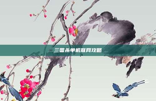 三国杀单机联网攻略