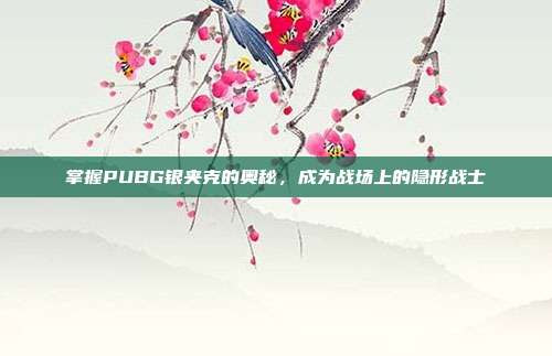 掌握PUBG银夹克的奥秘,成为战场上的隐形战士