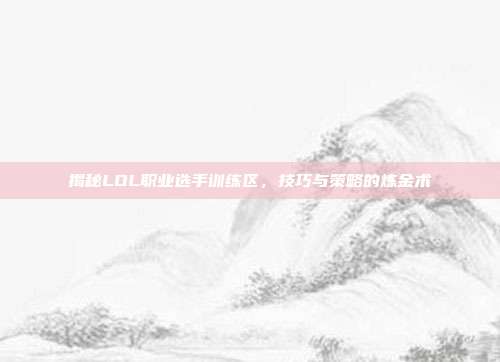 揭秘LOL职业选手训练区，技巧与策略的炼金术