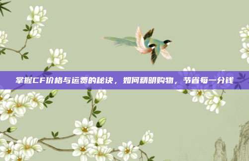 掌握CF价格与运费的秘诀，如何精明购物，节省每一分钱