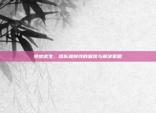 绝地求生,组队就掉线的困扰与解决策略