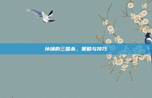 孙扬的三国杀,策略与技巧