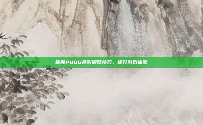 掌握PUBG色彩调整技巧,提升游戏体验