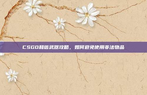 CSGO和谐武器攻略,如何避免使用非法物品