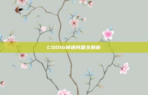 COD16掉速问题全解析