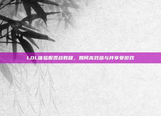 LOL体验服观战教程,如何高效参与并享受游戏