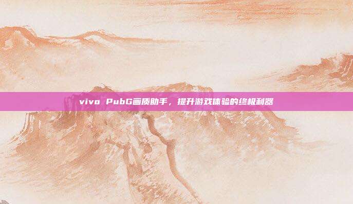 vivo PubG画质助手，提升游戏体验的终极利器
