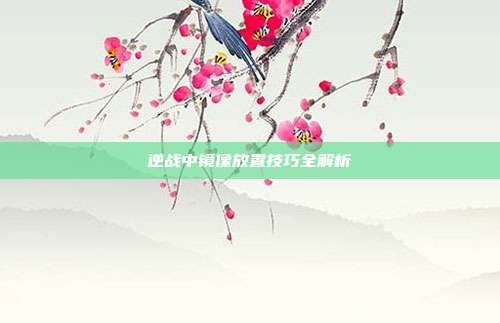 逆战中镜像放置技巧全解析