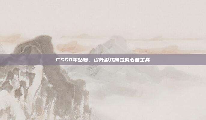 CSGO车贴膜,提升游戏体验的必备工具