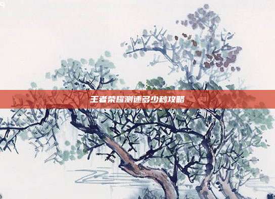 王者荣耀测速多少秒攻略