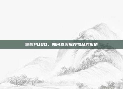 掌握PUBG,如何查询库存物品的价值