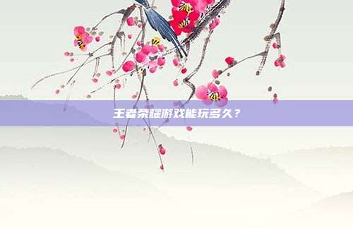 王者荣耀游戏能玩多久?