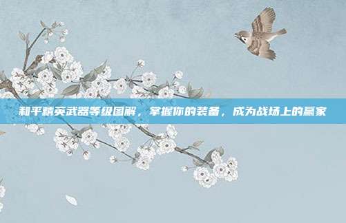 和平精英武器等级图解，掌握你的装备，成为战场上的赢家