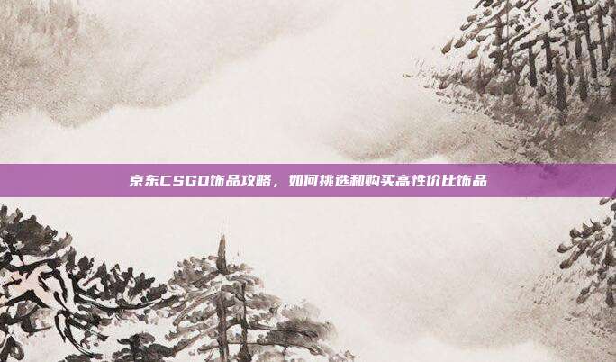 京东CSGO饰品攻略，如何挑选和购买高性价比饰品