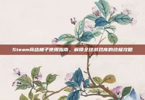 Steam商店梯子使用指南,解锁全球游戏库的终极攻略