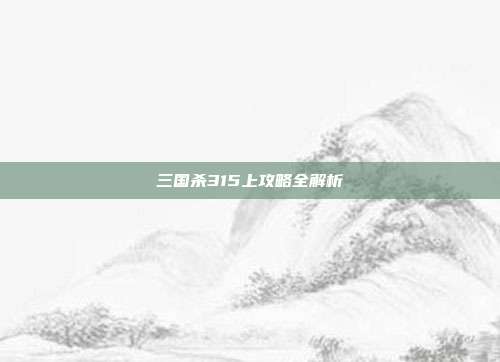 三国杀315上攻略全解析