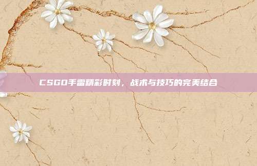 CSGO手雷精彩时刻，战术与技巧的完美结合