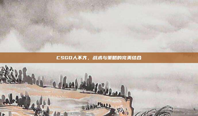 CSGO人不齐，战术与策略的完美结合