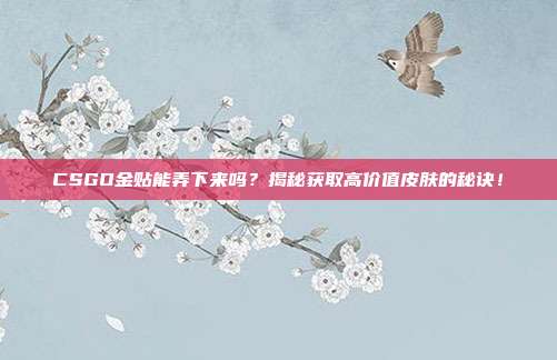 CSGO金贴能弄下来吗？揭秘获取高价值皮肤的秘诀！