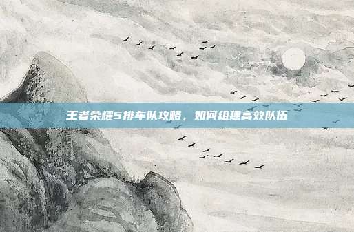 王者荣耀5排车队攻略,如何组建高效队伍